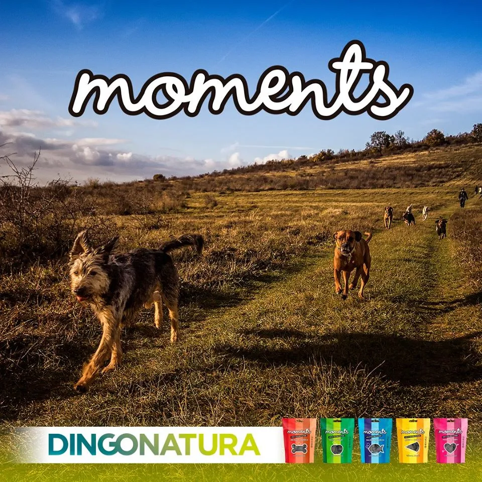 Moments hundesnack Iberisk skinke 60 g - naturlige hundegodbidder